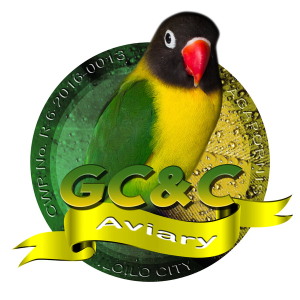 GCC Aviary
