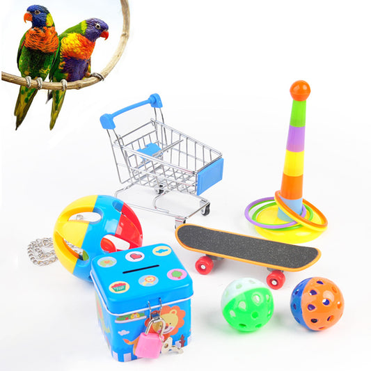 Set of Bird Training Toys